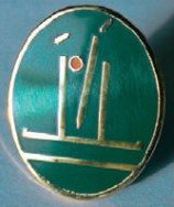 Primary club brooch